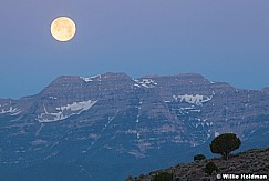 Full Moon Timp 062313 222