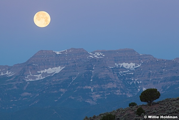 Full Moon Timp 062313 222