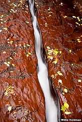 Waterslotzion102909 2166