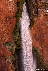 Grand Canyon Deer Creek 042012 729