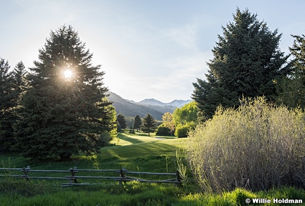 Wasatch State Park 051316 4204