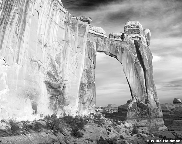 AngelarchBW032109F
