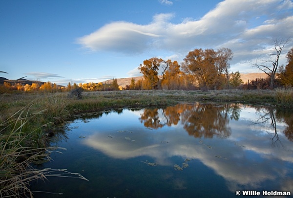 Pond Reflection 101512 1610