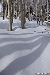 Aspen Winter Shadow 041312 139