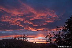 Sunset on Holdman Plateau 042723 5278