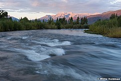 Provo River Timpanogos 083115 8259