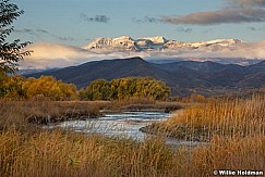 Provorivertimp102109