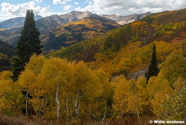 Golden Aspens Twin Peaks 092925 9414