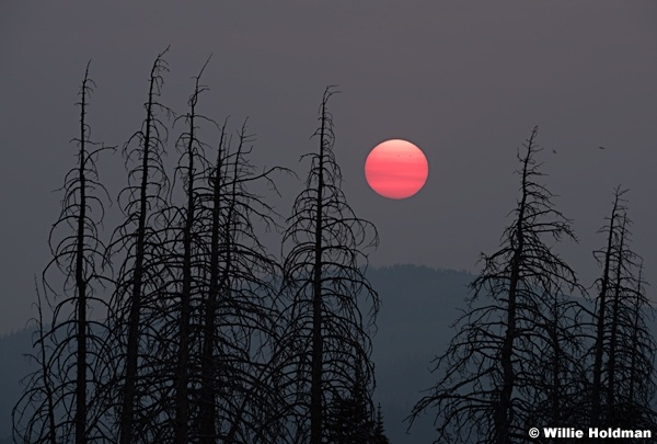 Red Sun 090617 7384