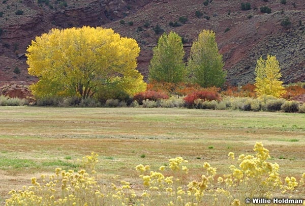 fallcolors101307 1202