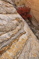 Boulder red 101817 4234 2