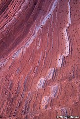 Vermillion Cliffs Sandstone 010314 5024