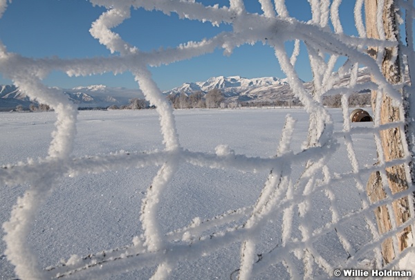 North Fields Timpanogos 021821 2569
