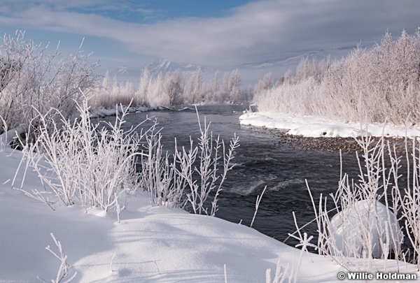 Provo River Frost Timp 012519 4025