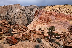 Capitol Reef Color 0521 0724