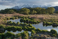 Timpanogos Spring Greens Stream 051021 7148 3