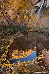 Calf Creek Falls Autumn Leaves 6x7110225 2863 3