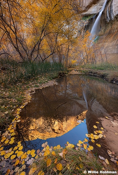 Calf Creek Falls Autumn Leaves 6x7110225 2863 3