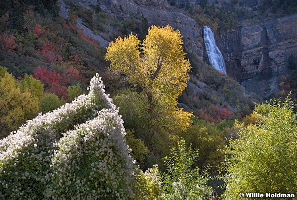 Bridal Veil Color 100819 6241 4