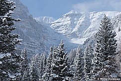 Timpanogos Winter Pines 123015 1894 4