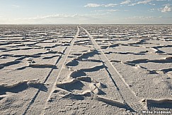 Salt Flats Ridge Lines car tracks 082517 4816