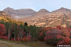 Maples Aspen Birds 092012 211