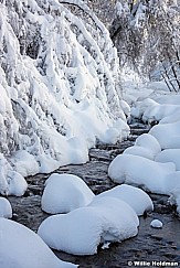 North Fork Winter 122415 2