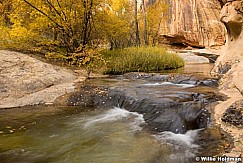 Calf Creek Stream 101817 4506 2
