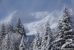 Frosty Timpanogos Pines 121912 391