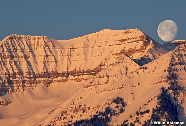 moontimp031309 539