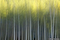 aspenabstract093007 1097