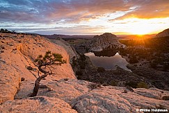 Teasdale Pond Sunrise 082125 4117