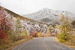 Autumn Road Snow 100611 427
