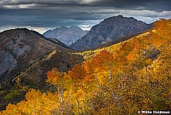 Timpanogos Cascade Color 100216 0974 2