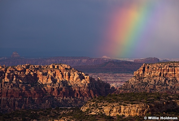 Beef Basin Rainbow 050415 9308 2