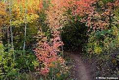 Fallmtnbiketrail092211 406