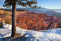 Bryce Winter 011513 180
