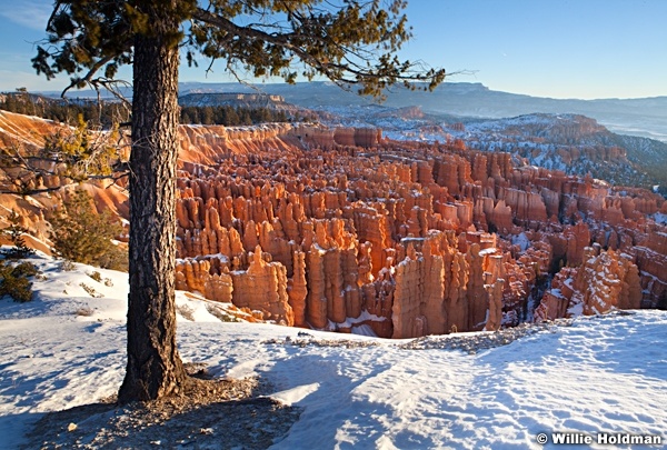 Bryce Winter 011513 180