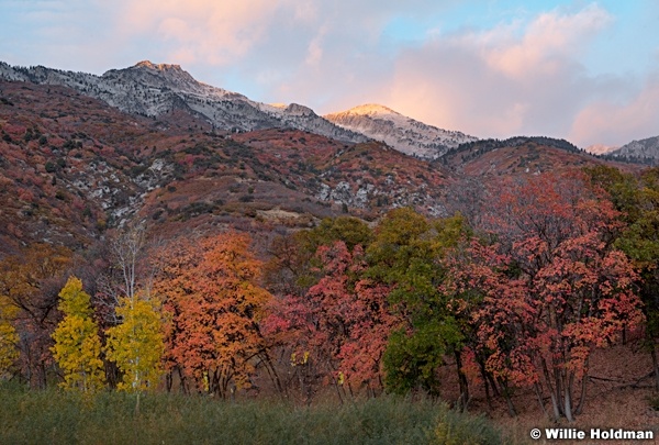 Maples Lone Peak 102520 9309 3