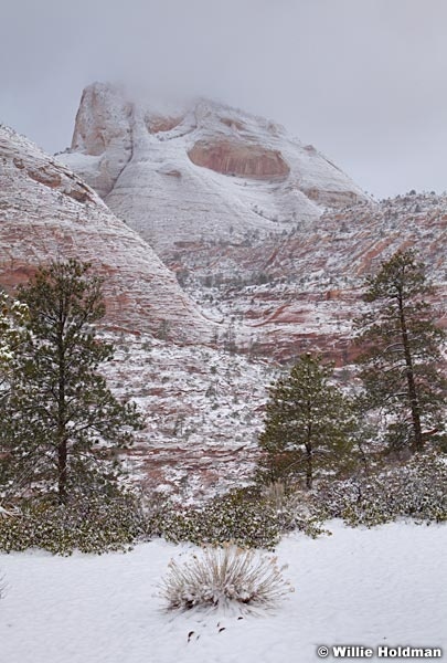 Zion Snow 031912 940f