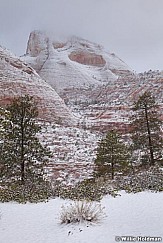 Zion Snow 031912 940f