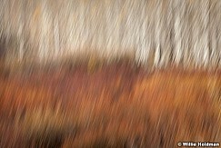 Abstractimpressions101510 6053