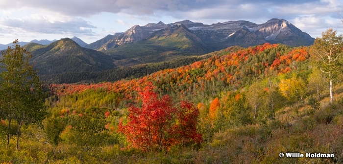 Timpanogos Autumn Color 093019 4184