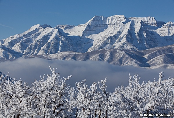 Timpanogos Mountain 122012 196