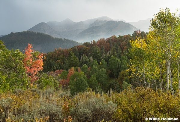 Timpanogos Storm Autumn Colors 091325 2