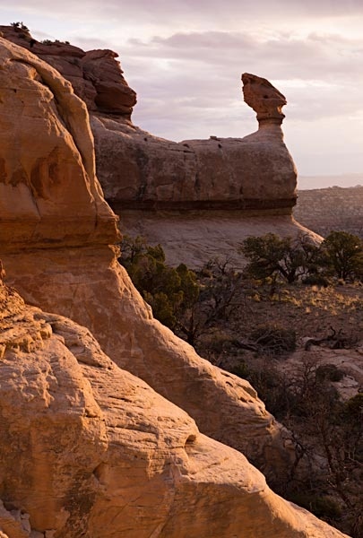 Beef Basin Rock 050415 9137 2