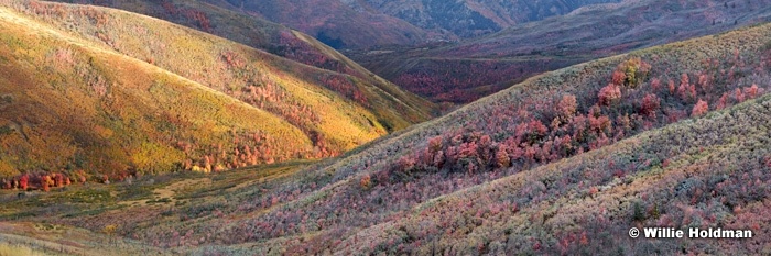 Dustingcascade092909