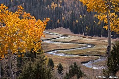 S curve Orange Aspens F 101019 8152 4 2