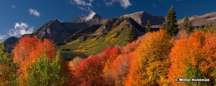 Red Maples Timp pan092313