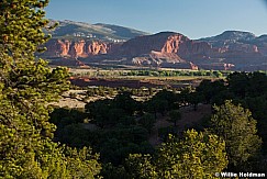 Torrey Landscape 052213 5022